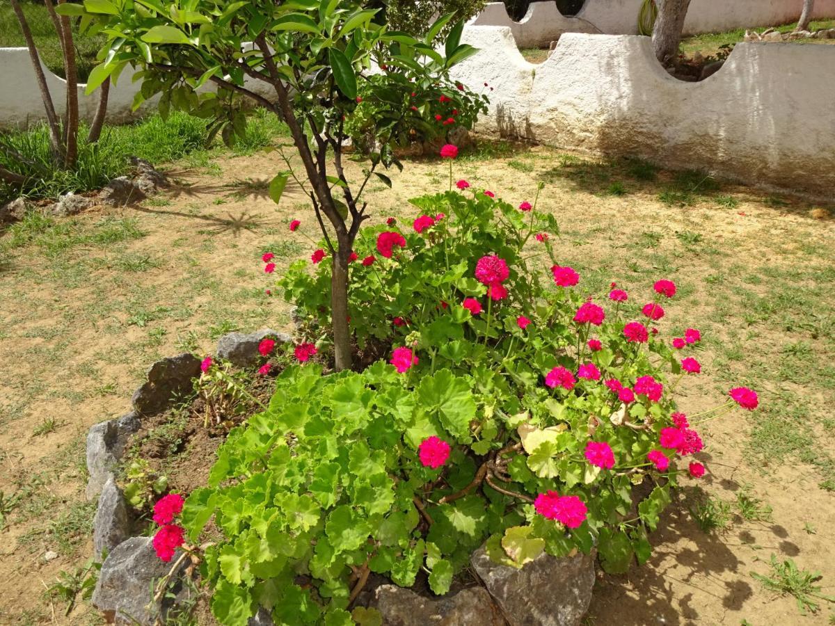 Villa Elena Ypsos Exteriér fotografie